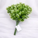 Celestia Hydrangea Cluster