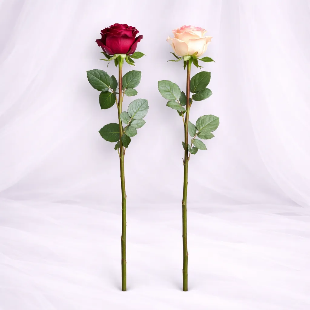 [SF-1376] Crimson Grace Stems