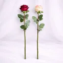Crimson Grace Stems