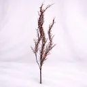 Crimson Meadow Twig