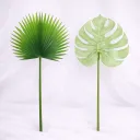 Emerald Fan & Monstera Duo