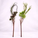 Enchanted Woodland Twigs