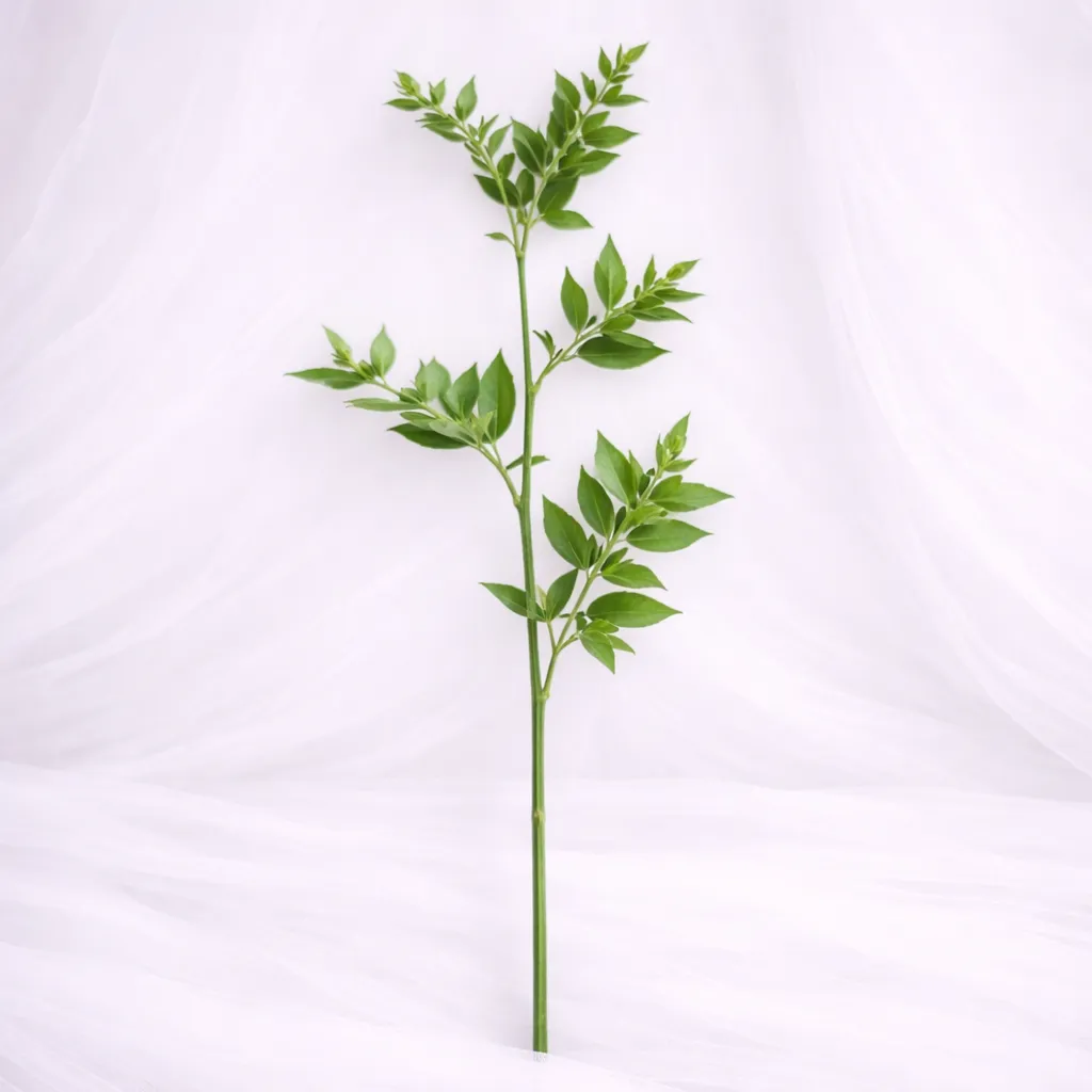 [SF-1385] Evergreen Poise Stem