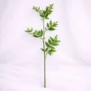 Evergreen Poise Stem