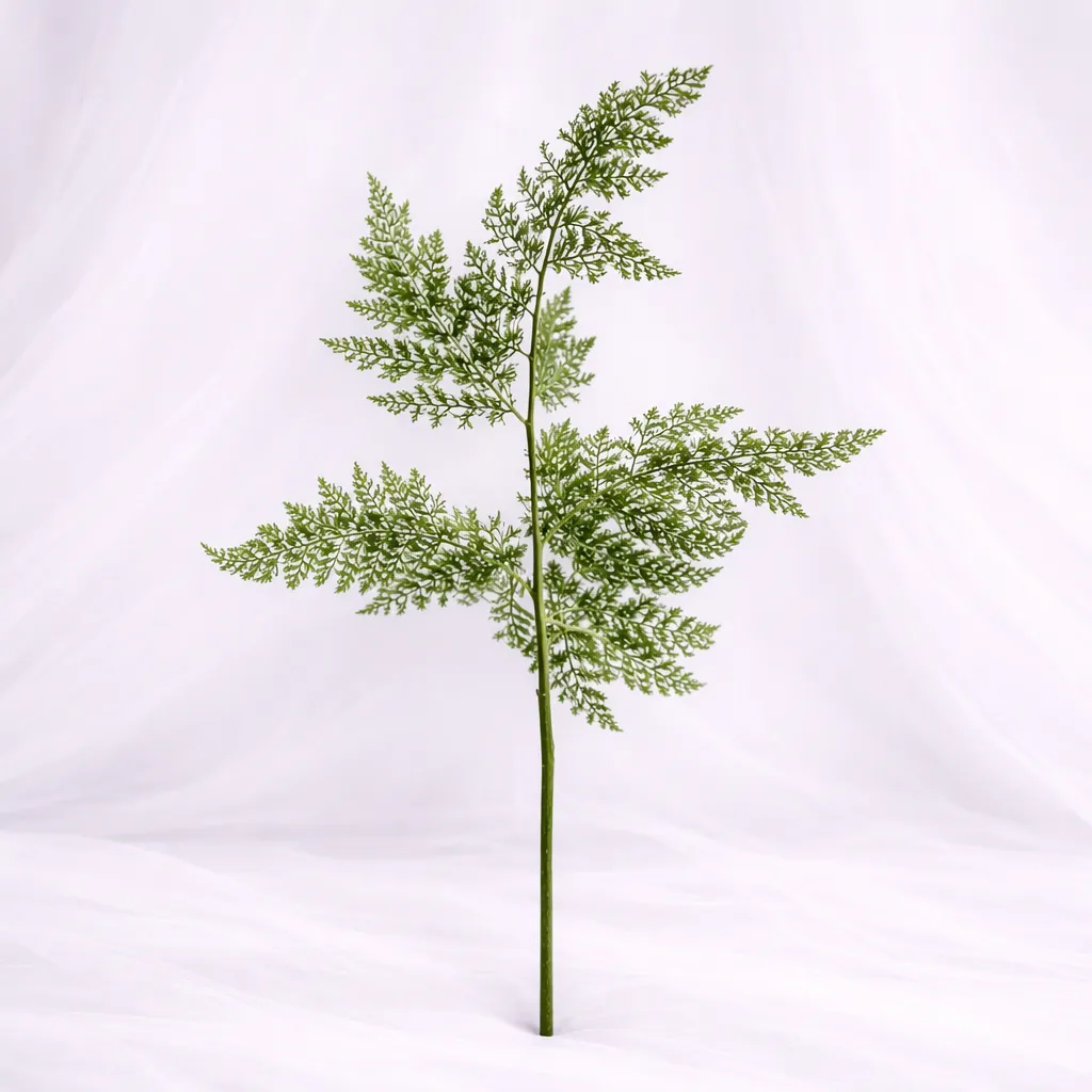 [SF-1386] Fern Élan