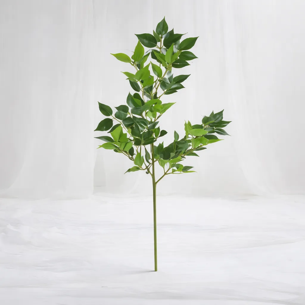 [SF-1387] Forest Crown