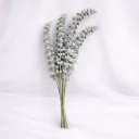 Frosted Willow Spray