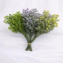 Meadowlight Harmony Bunch