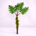 Palmiera Tropic Stem