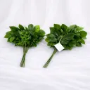 Royal Basilique Bunch