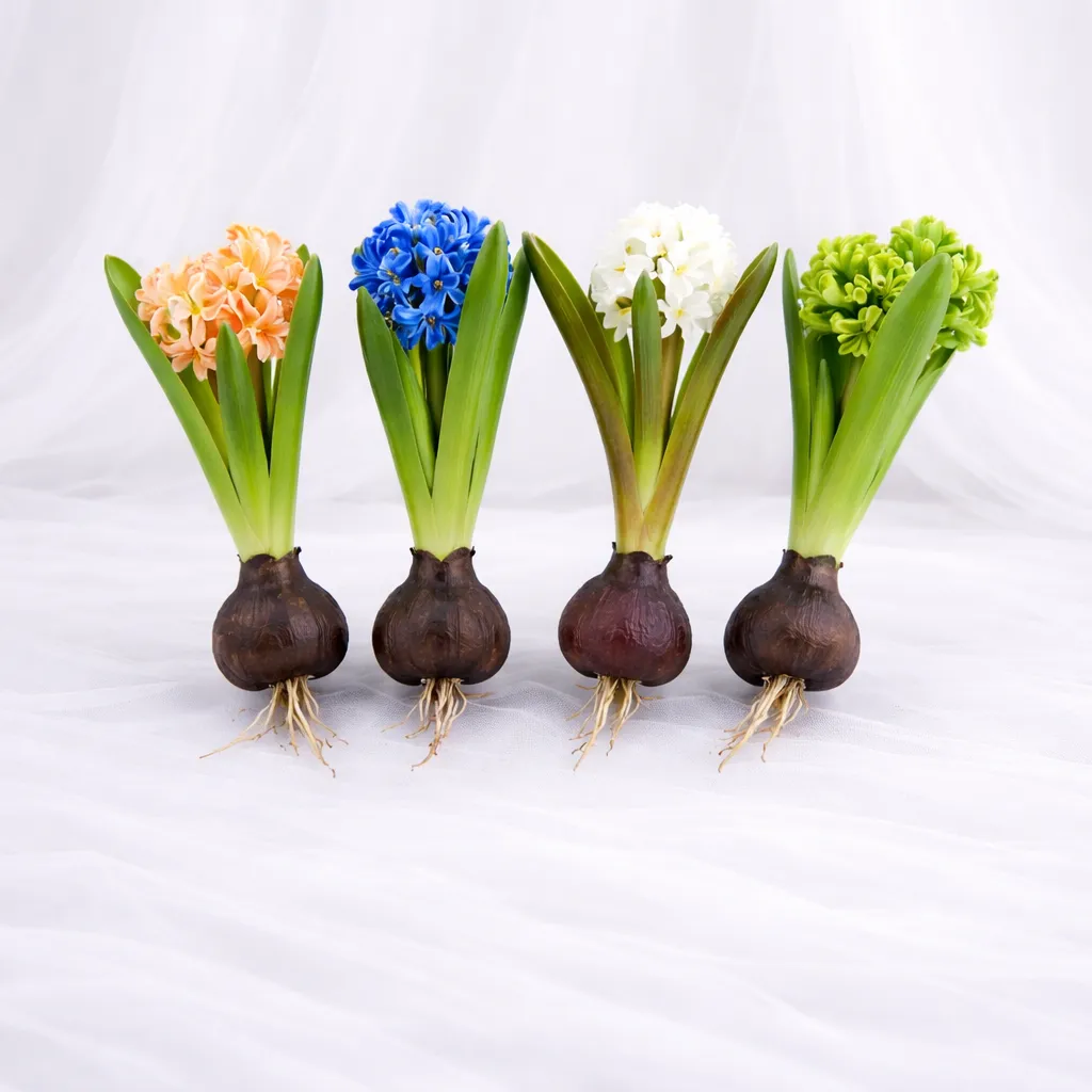 [SF-1408] Royal Bulb Garden Set