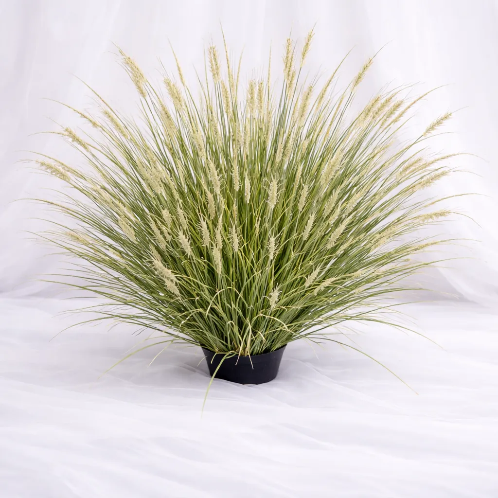 [SF-1413] Savanna Breeze Ornamental Grass