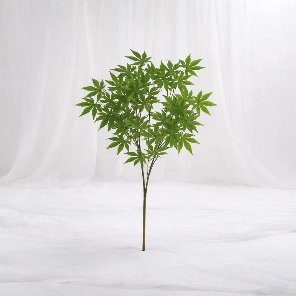 [SF-1417] Serene Grove