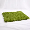 Velvet Moss Carpet
