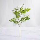 Verdant Linea