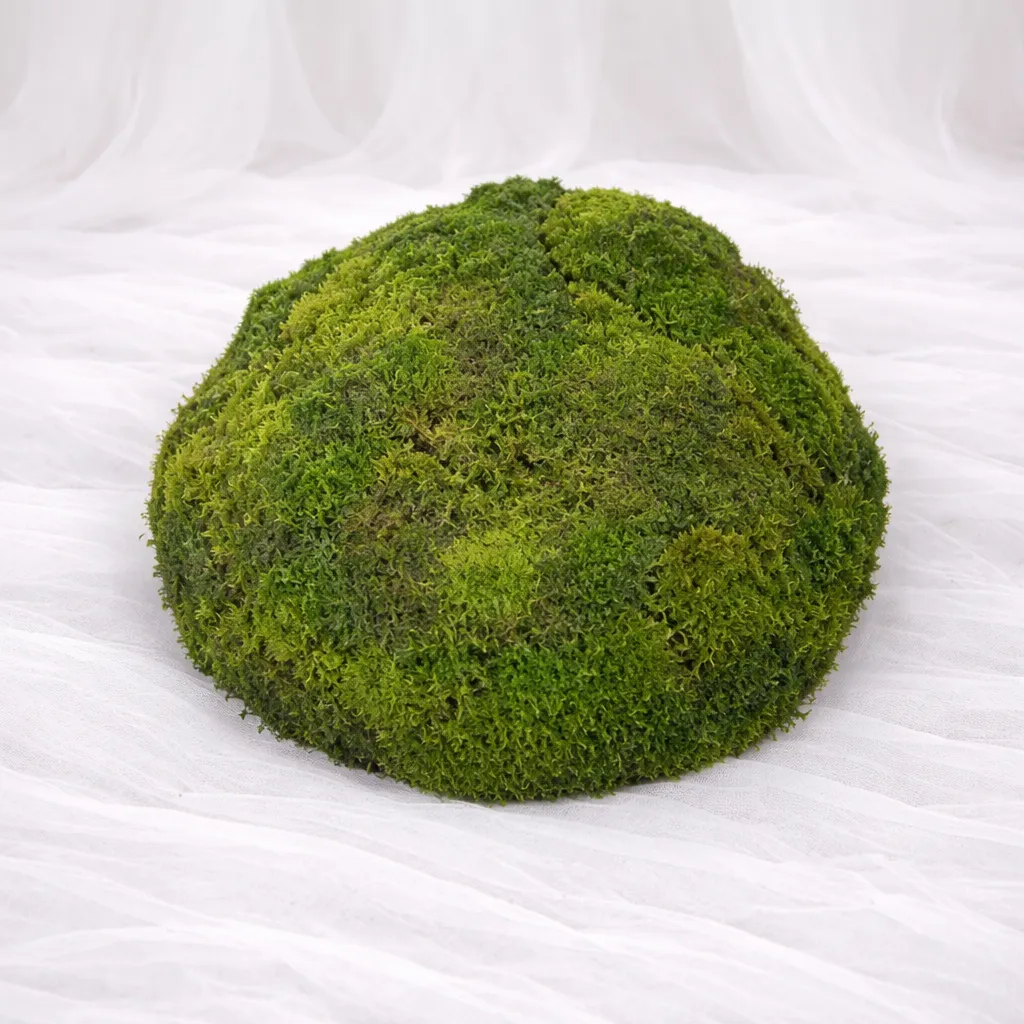 [SF-1426] Verdant Moss Sphere