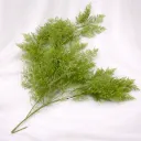 Whisper Fern Spray