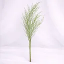 Whispering Meadow Reed