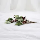 Winterberry Woodland