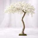Pearl Bloom Tree