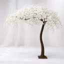 Snowveil Canopy
