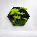 The Moss Pavilion