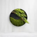 Moss Aura Wall Planter