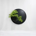 Verde Eclipse Wall Planter