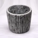 Stone Bark