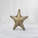 Coastal Relic