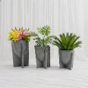 Modern Sculptural Concrete Planter Set