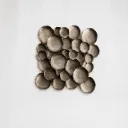 Monochrome Disc Wall Sculpture