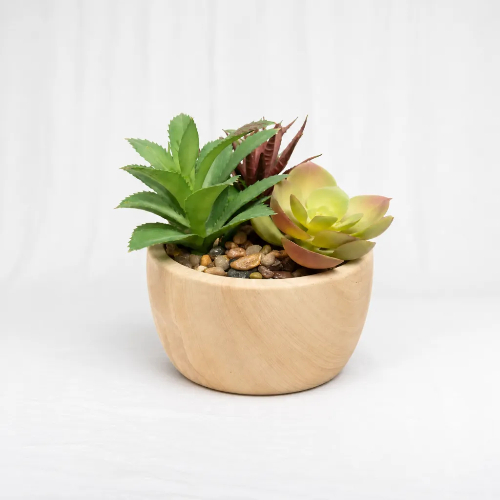[P-1371] Earth Nest Succulent Bowl
