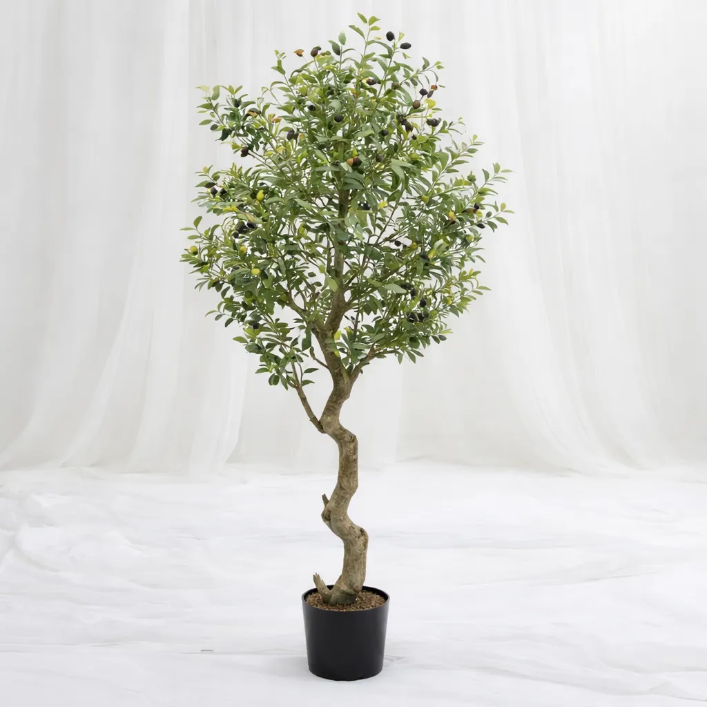 Mini Olive Tree