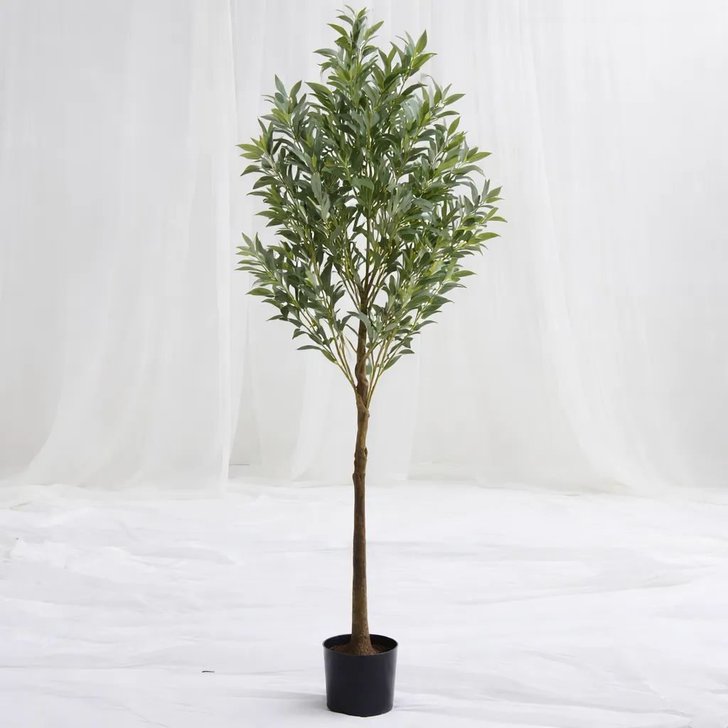 Slender Indoor Tree