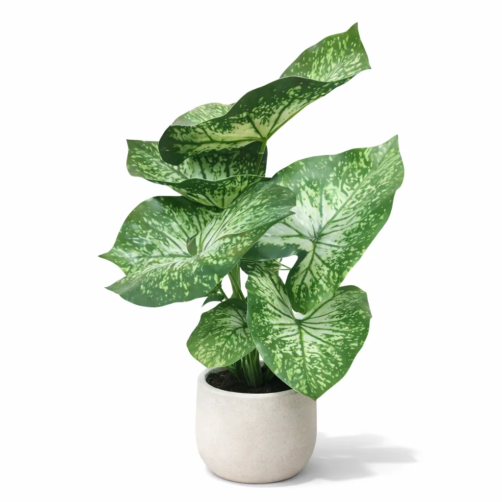 Tropical Vein Leaf Plant