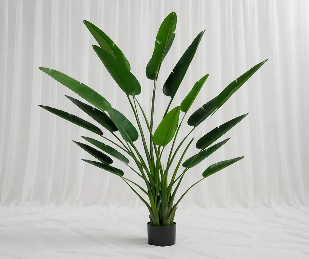 Tropical Green Leaf Indoor Plant