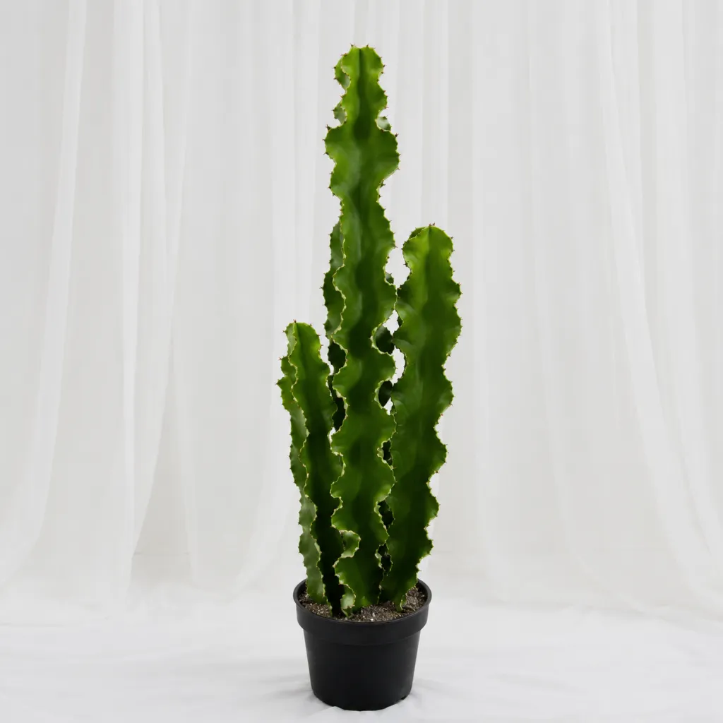 [P-1390] Minimal Tall Cactus Plant