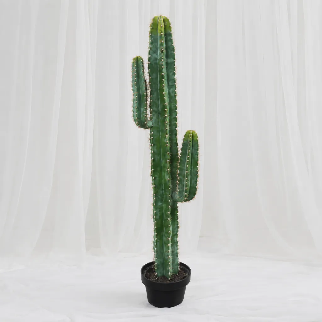 [P-1392] Minimal Column Cactus Indoor Plant