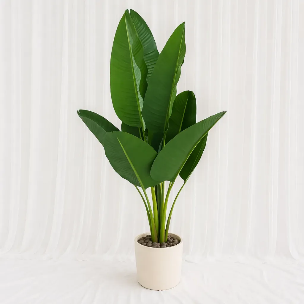 [P-1400] Large Banana Leaf Indoor Plant