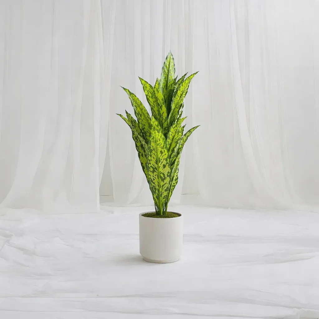 Dieffenbachia Artificial Plant