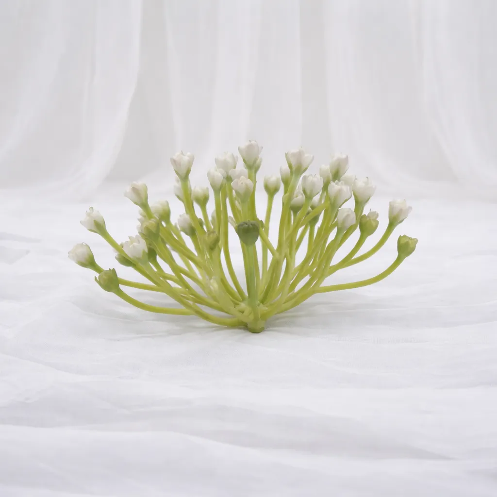 [SF-1466] Coral Branch Accent