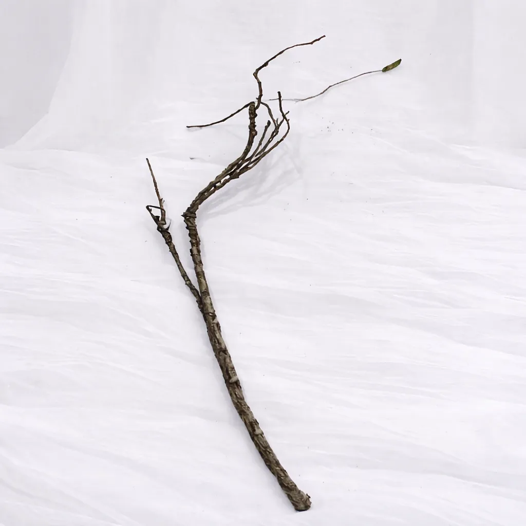 Dry Meadow Bundle