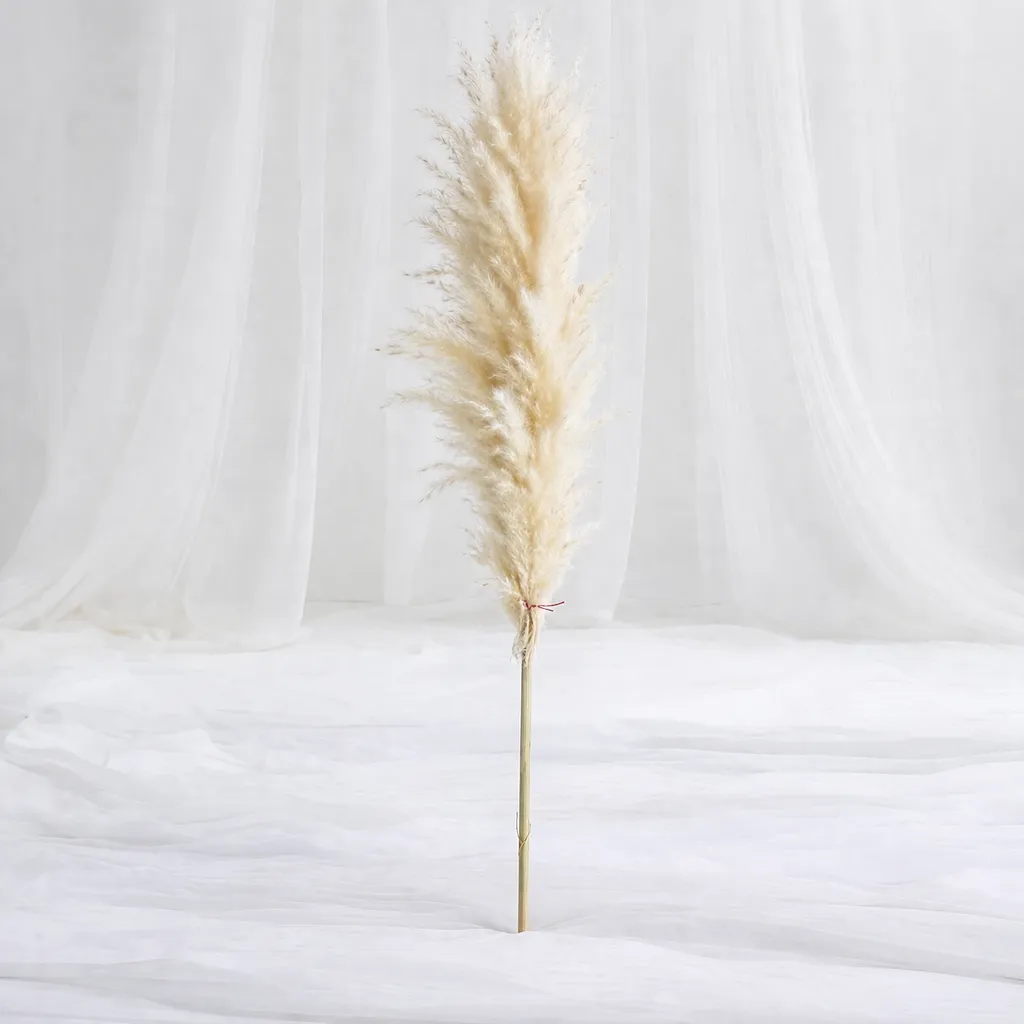 Feather Pampas Stem