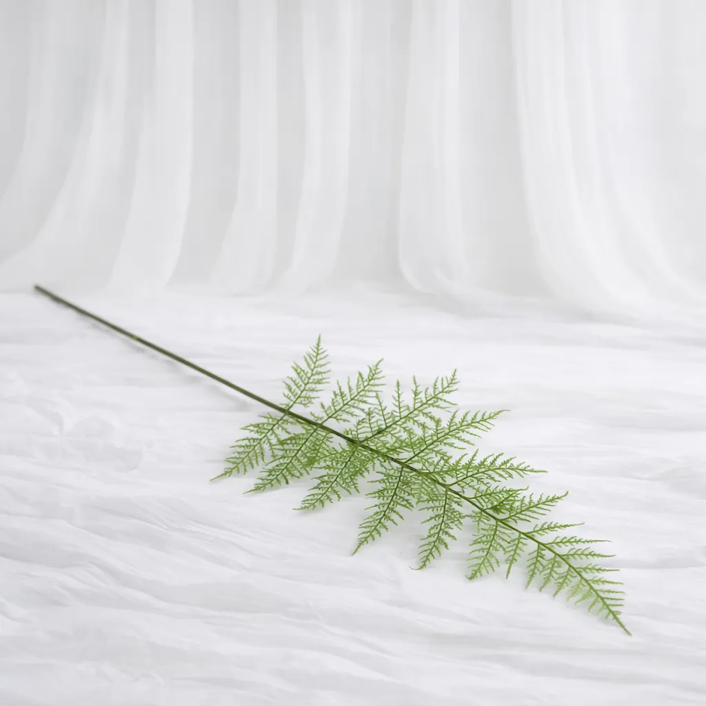 Fern Whisper