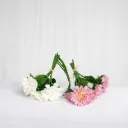 Rose Garden Drop Set