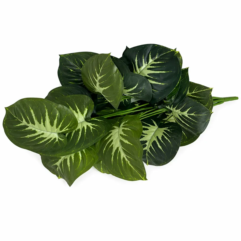 Round Leaf Cluster