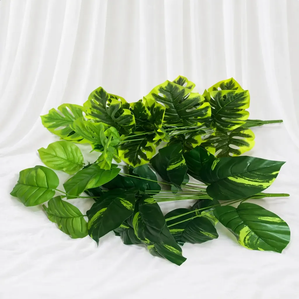 Variegated Monstera Set