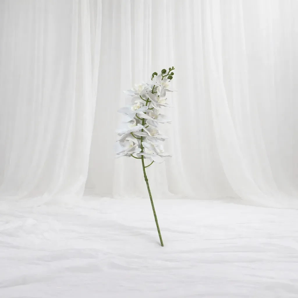 White Blossom Stem