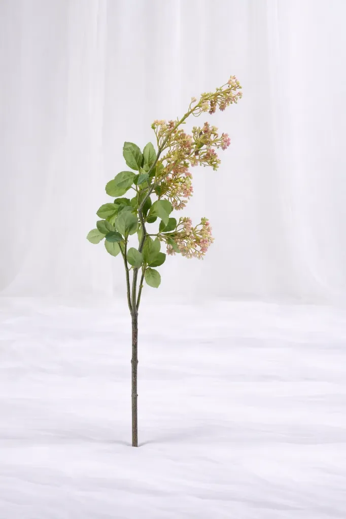 Wild Garden Sprig